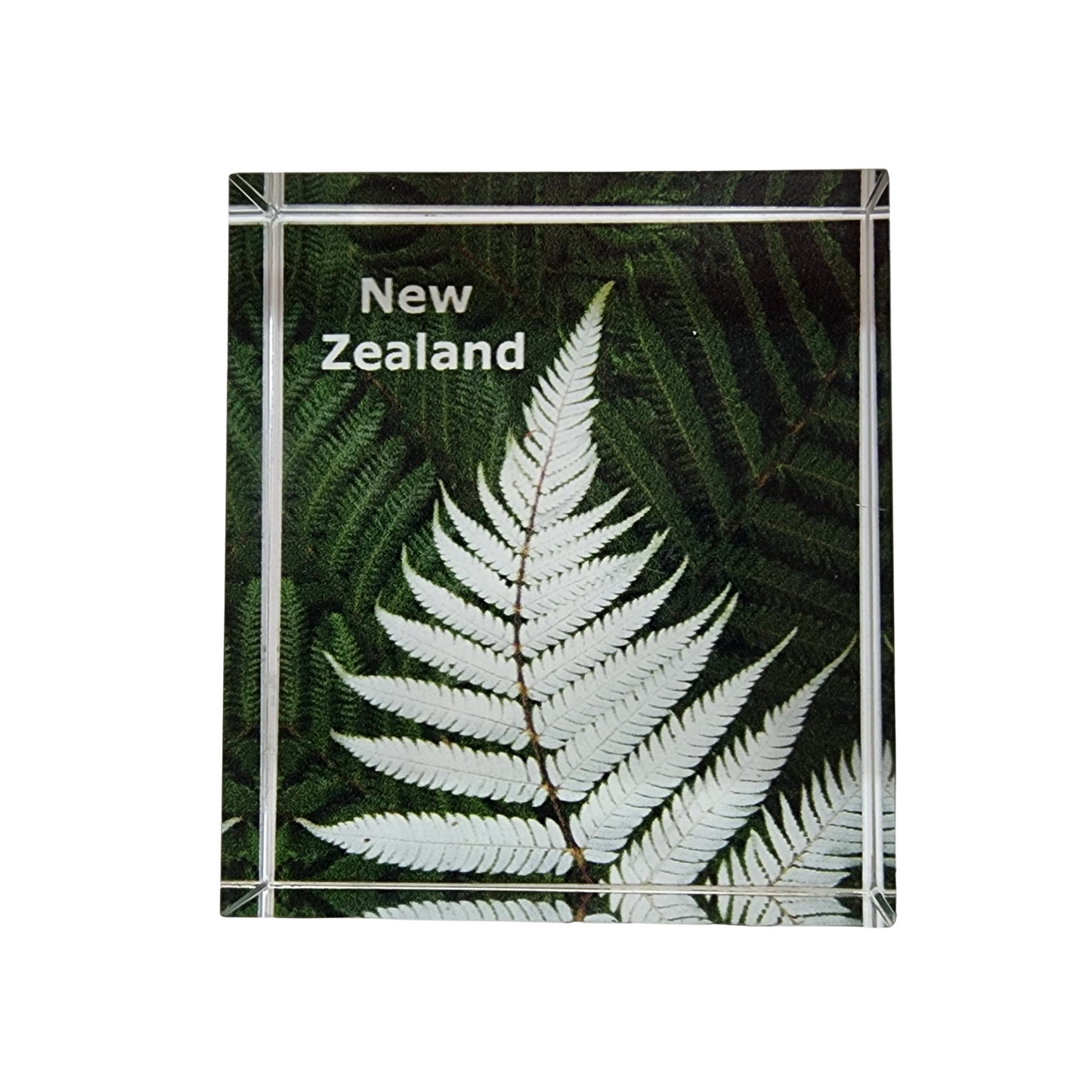 Fern Glass Block