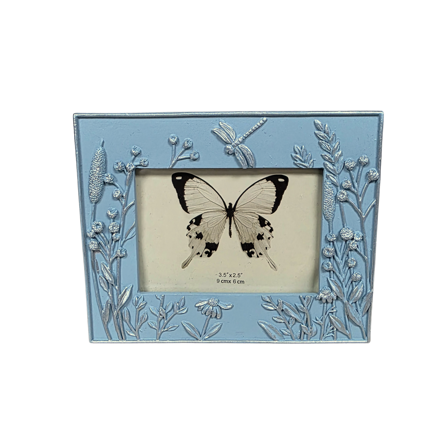Dragonfly Sky Blue Frame 2x3