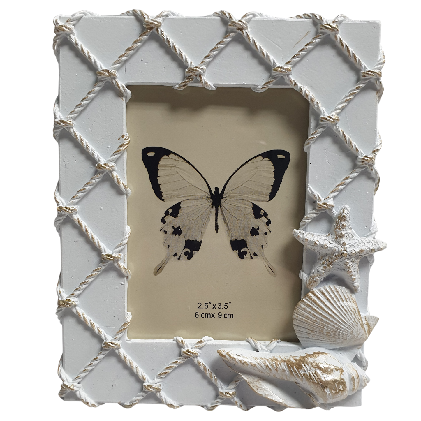 2.5" x 3.5" Shells on Fishing Net White