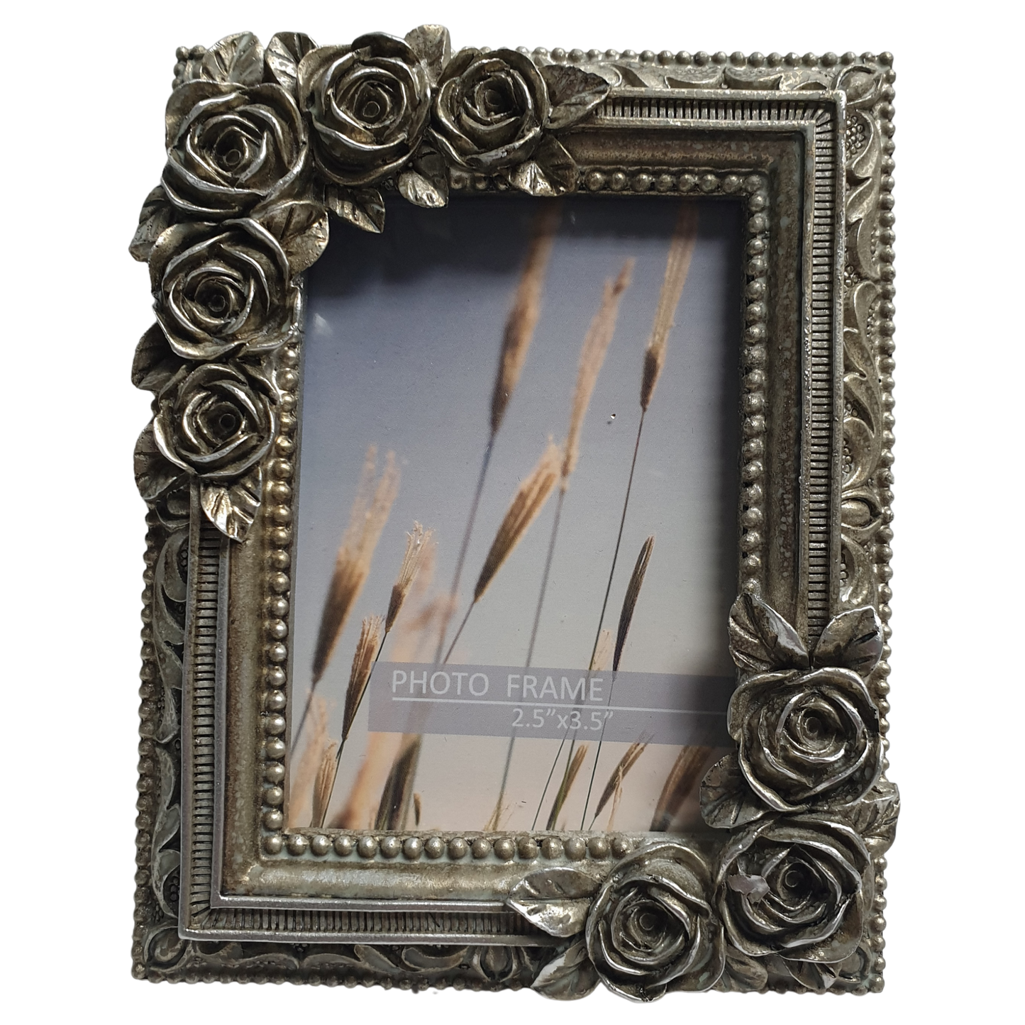 2.5" x 3.5" Primrose Frame Champagne