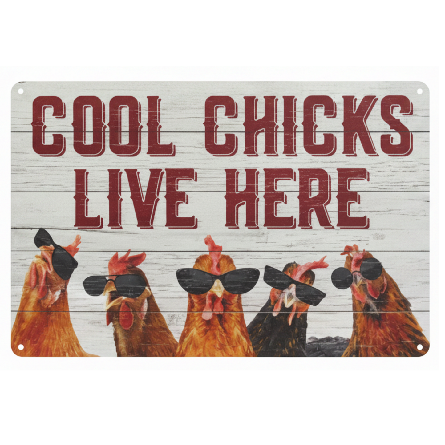 Tin Sign - Cool Chicks
