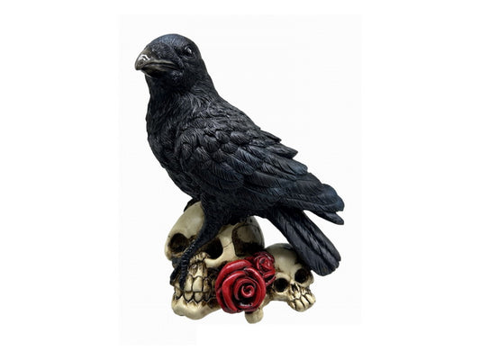 Raven on Skulls