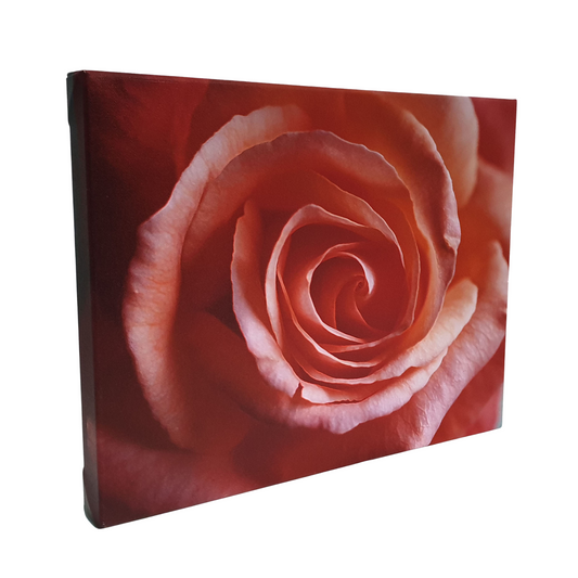12x16 Mounted Canvas Print