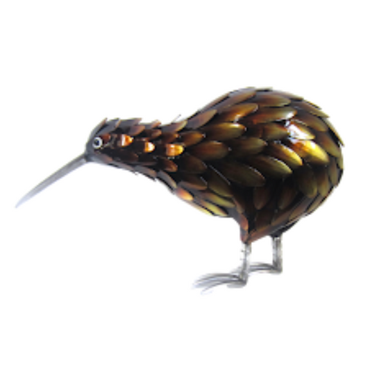 Small Kiwi Feeding
