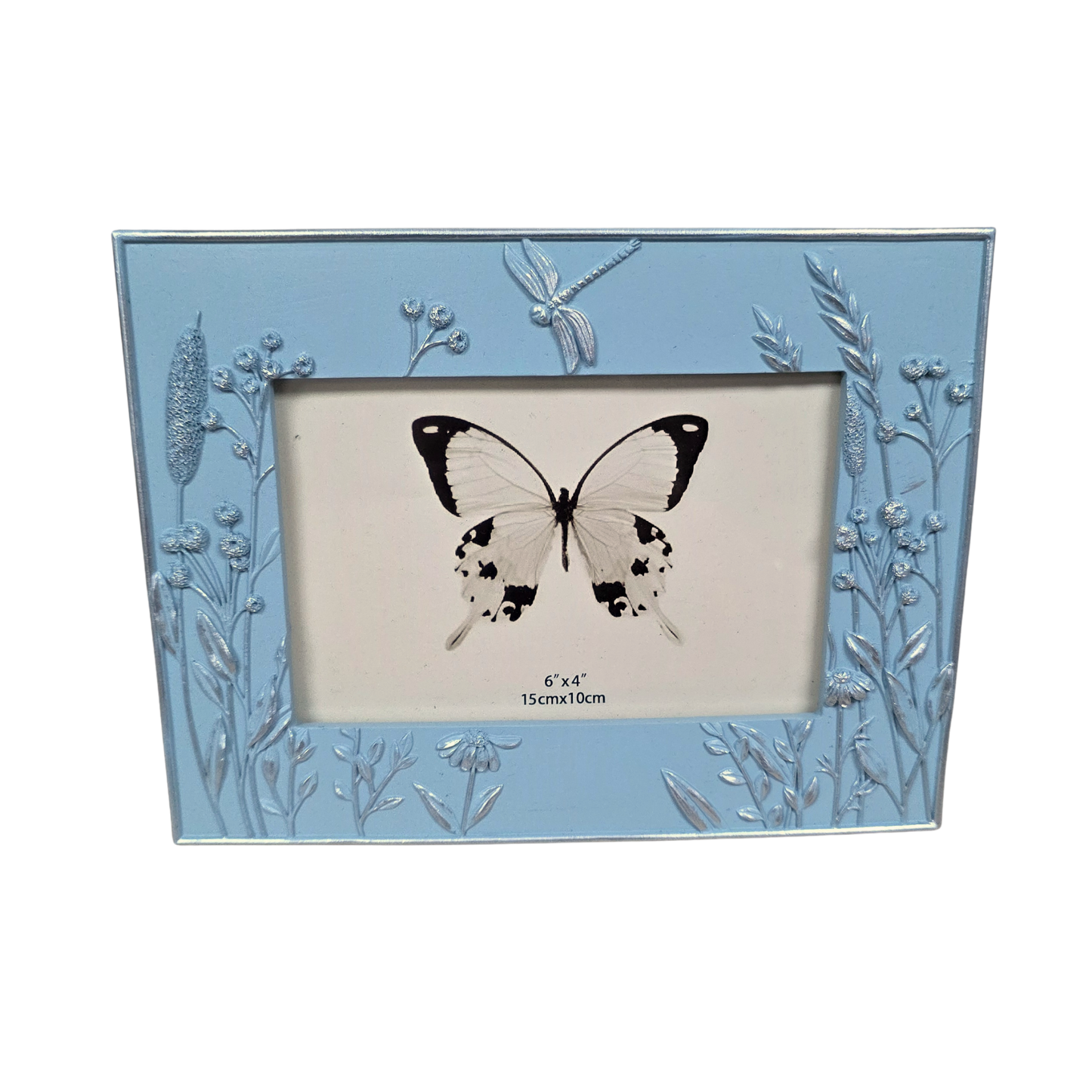 Dragonfly Sky Blue 6x4 Frame