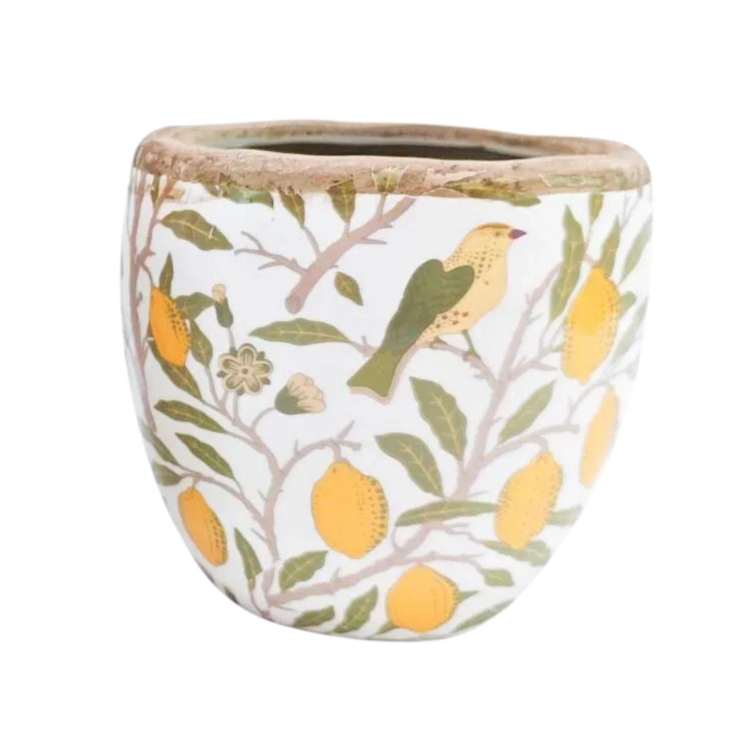 Medium Vintage Lemon Planter