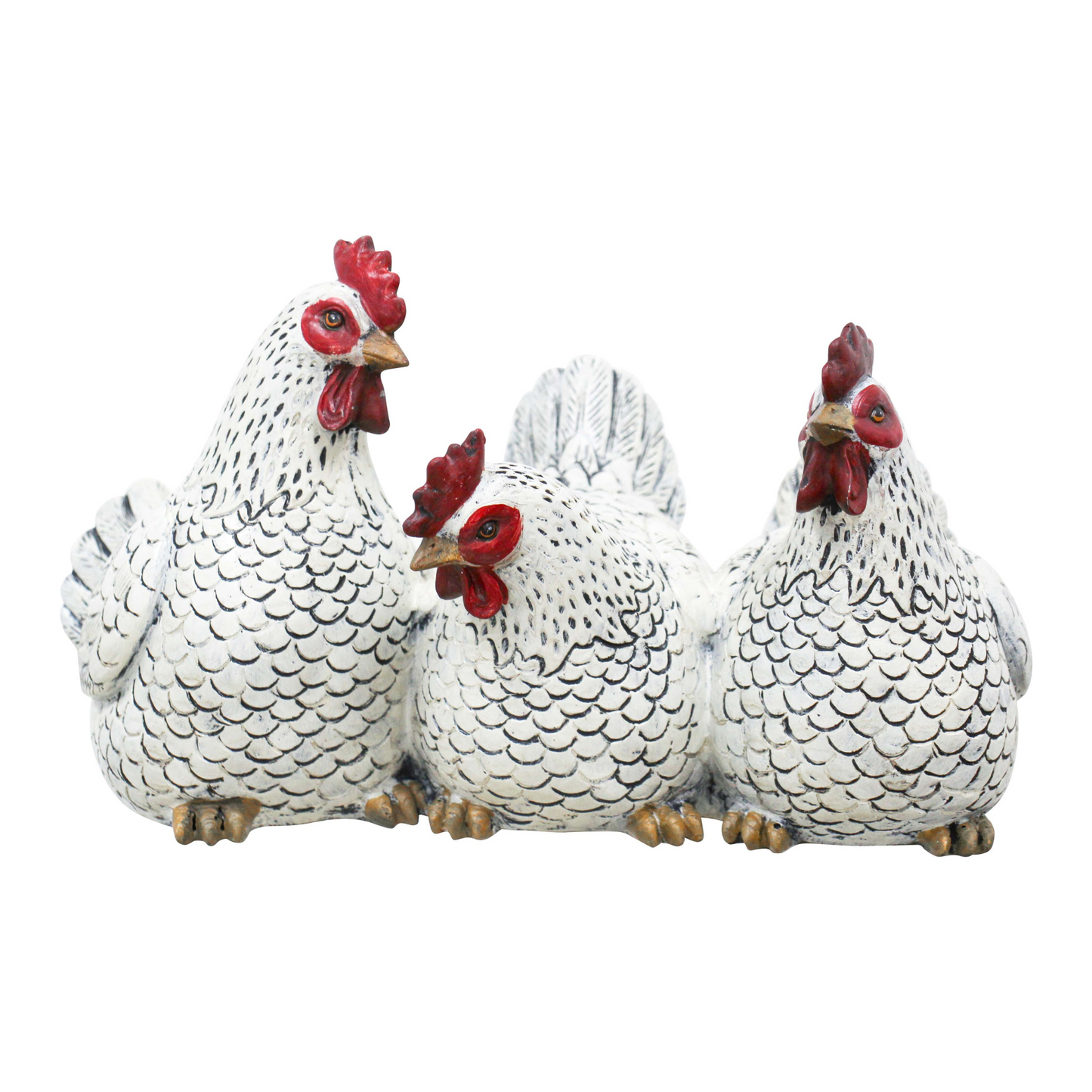Three White Chicken Friends