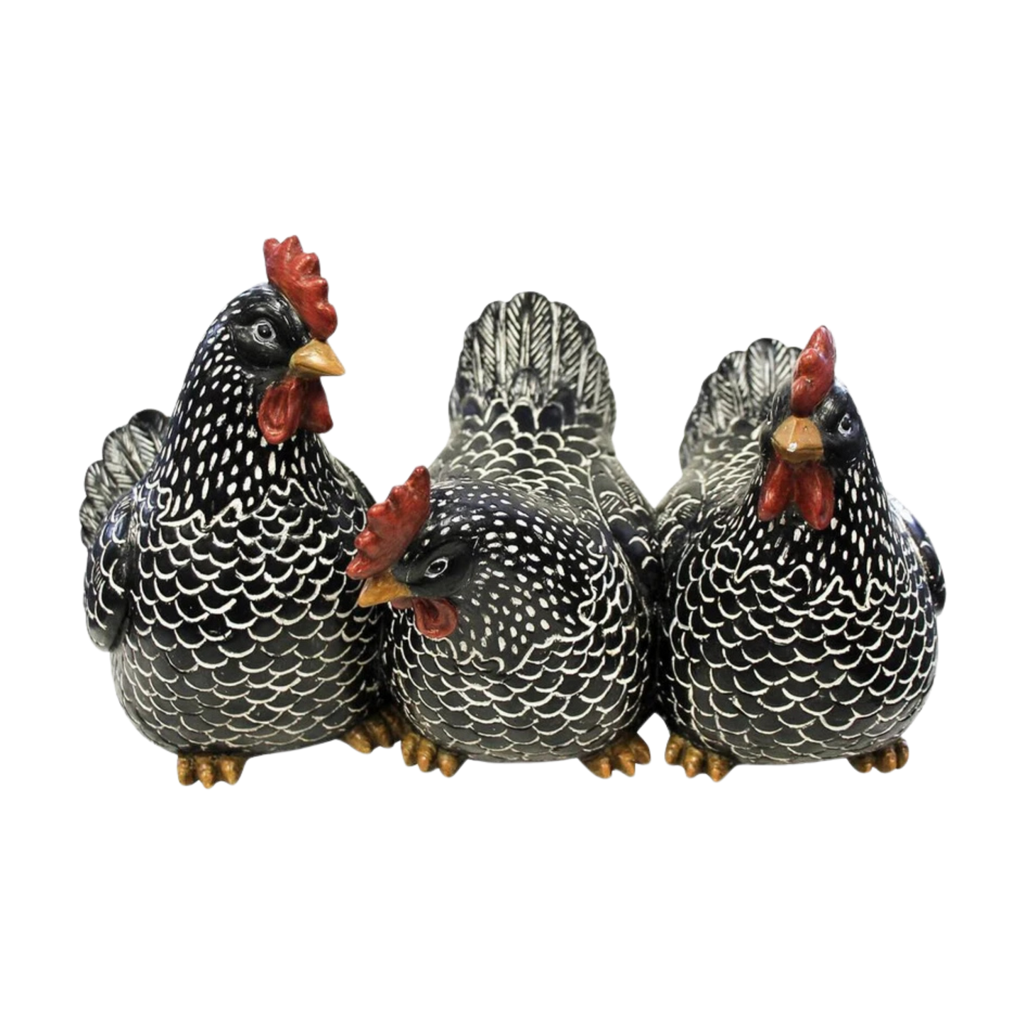 Three Black Chicken Friends