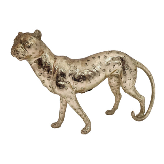 Gold Leopard Stalking