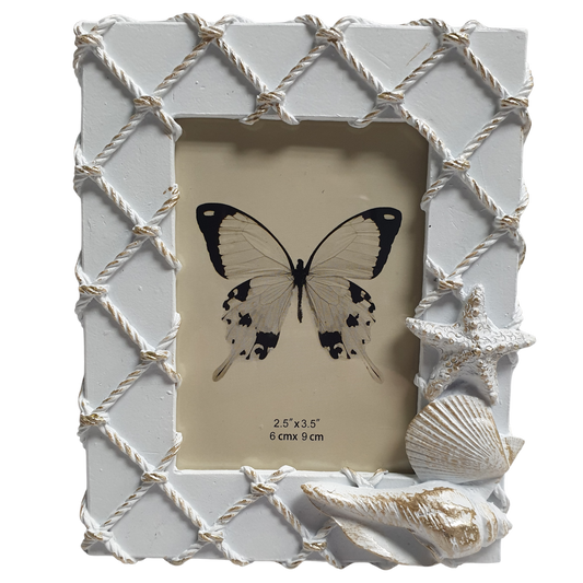 2.5" x 3.5" Shells on Fishing Net White