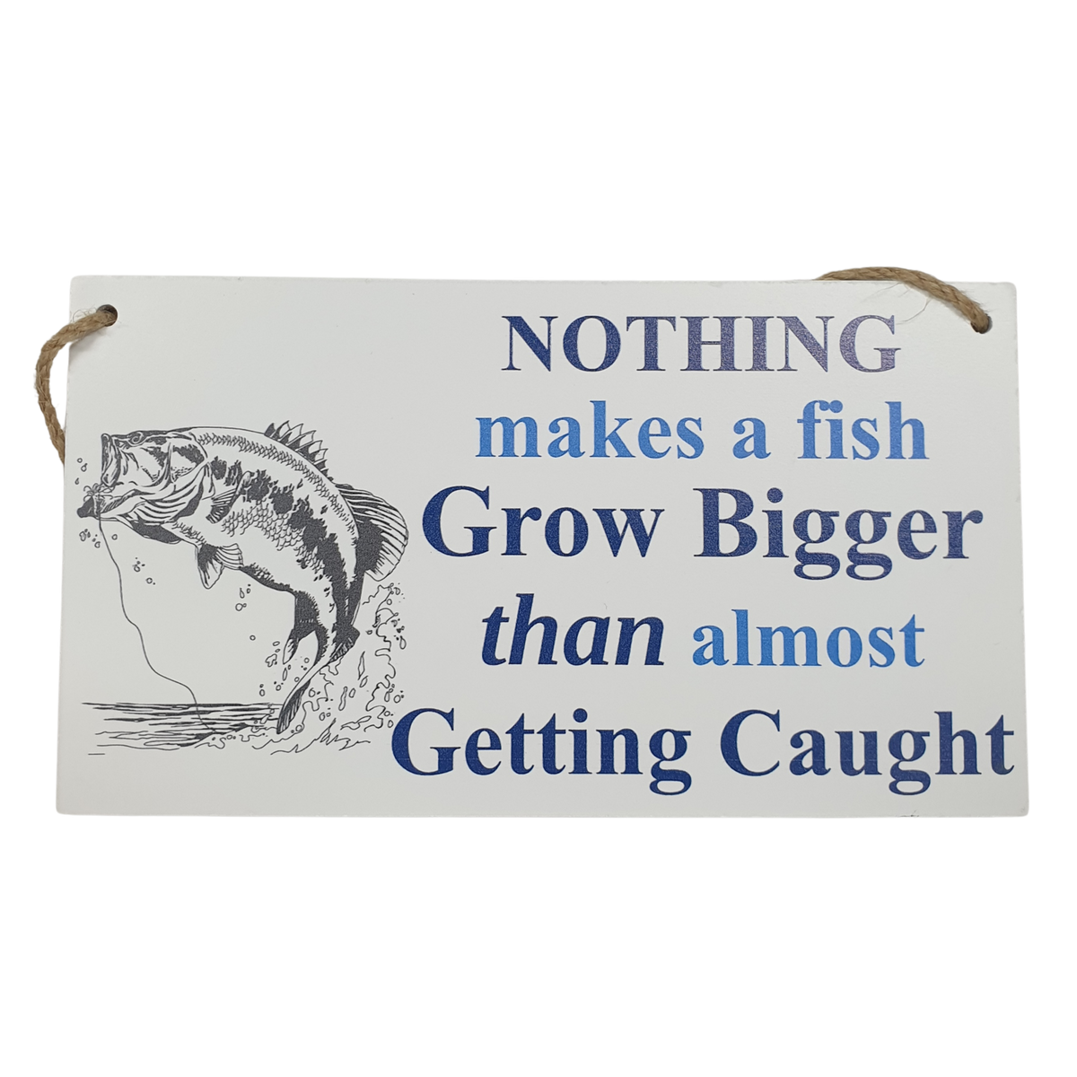 Big Fish - Hanger