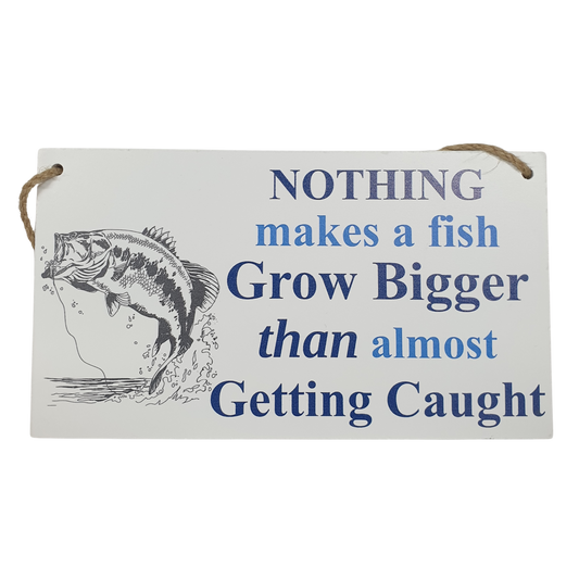 Big Fish - Hanger