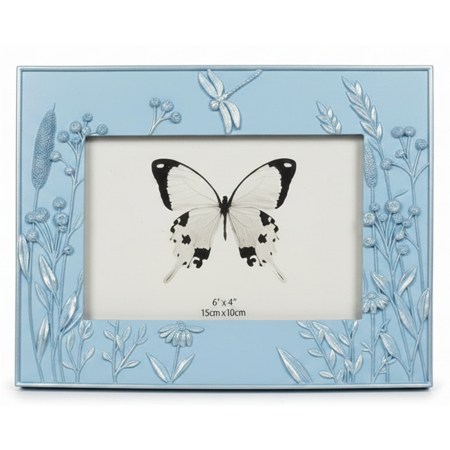 Dragonfly Sky Blue 6x4 Frame