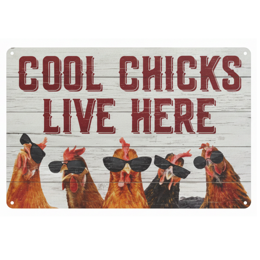 Tin Sign - Cool Chicks