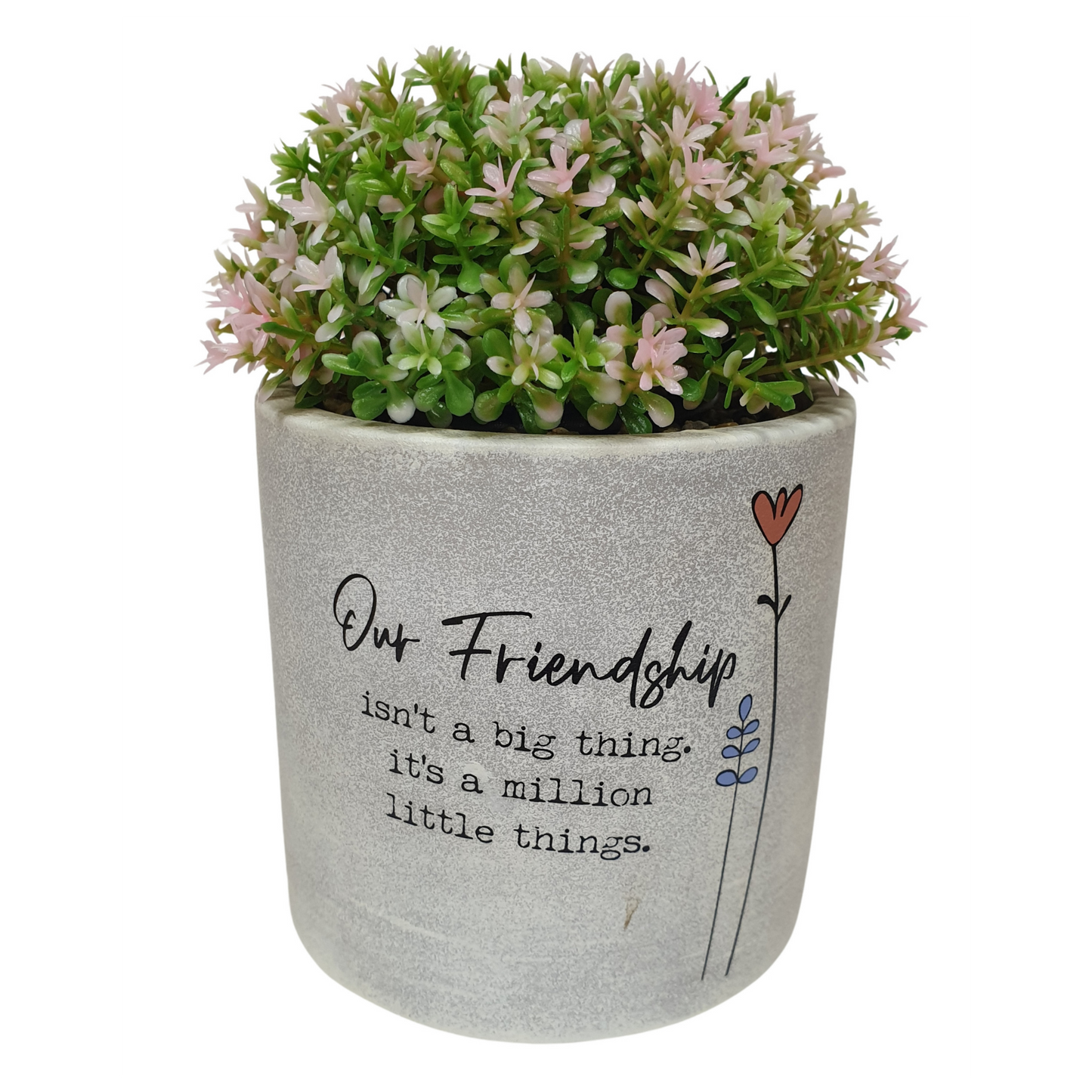 16cm Wild Meadow Pot Plant - Friendship