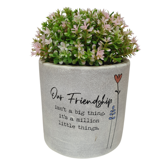 16cm Wild Meadow Pot Plant - Friendship