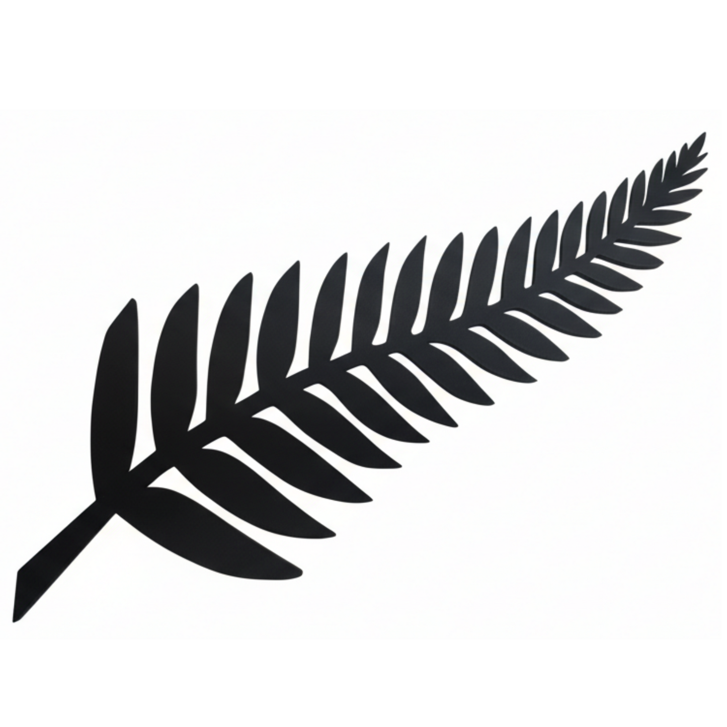 NZ Wall Art - Black Fern