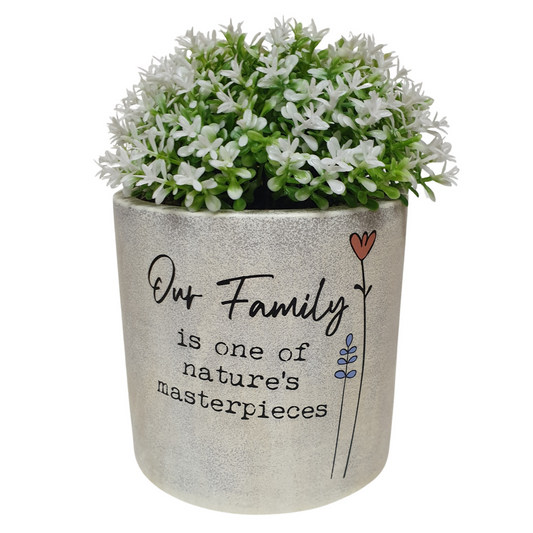 16cm Wild Meadow Pot Plant - Family