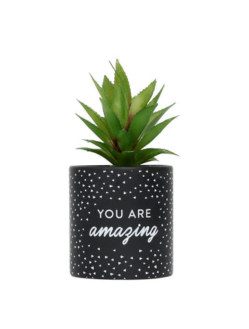 You Are Amazing Faux Pot Plant