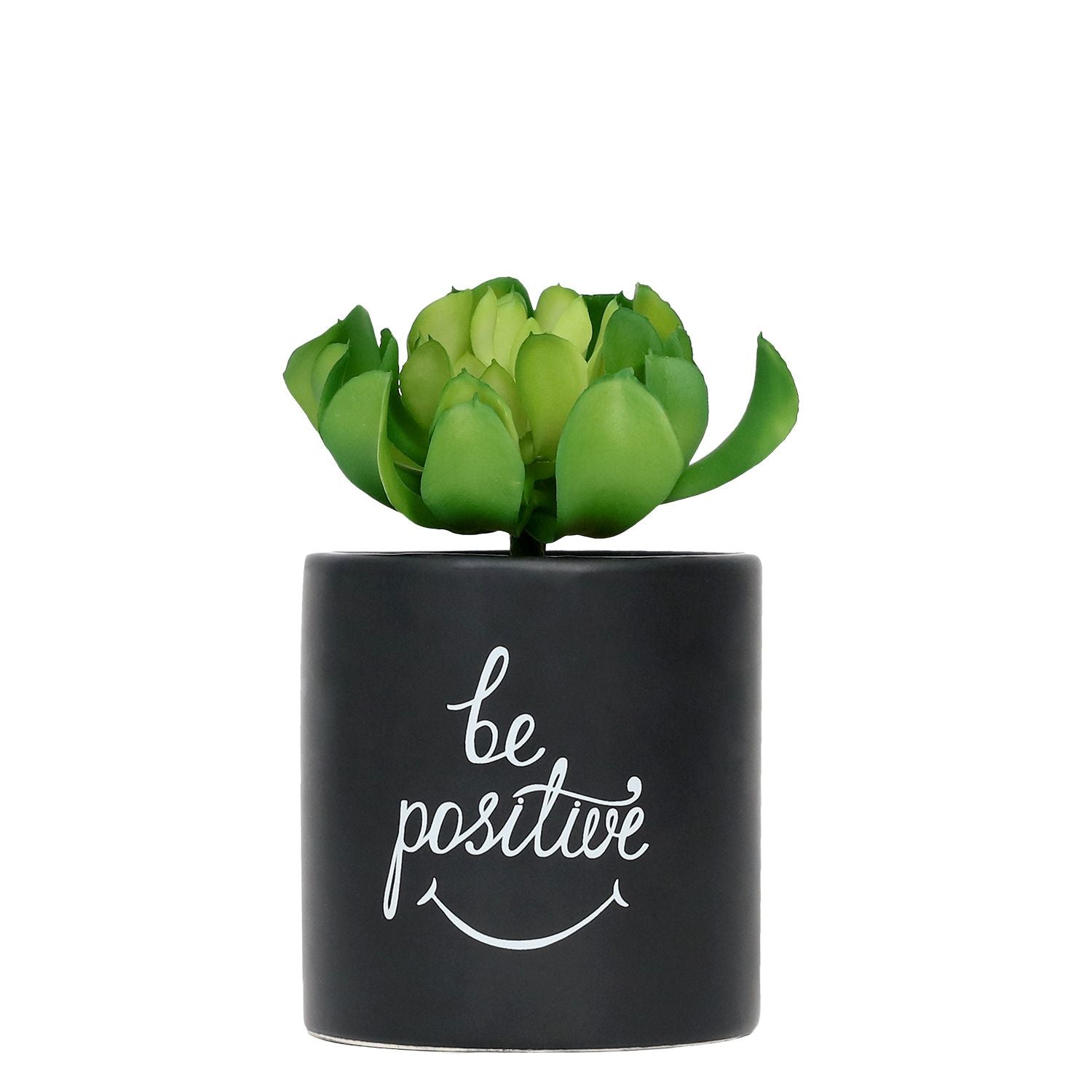 Positive Faux Pot Plant