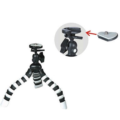 Pronto Spider Pod (Medium)